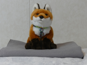 Unnamed 44 (Red Fox, GO! Retail Group)